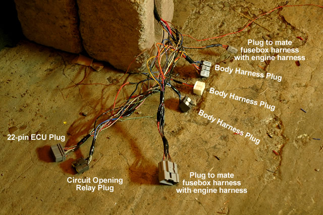 Attached Image