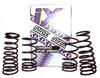 Intrax Lowering Springs Photo