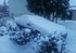 1994 ST Hatchback Photo