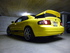 Hornet Photo