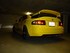 Hornet Photo