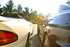 ST204C Photo