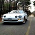 1995 GT Convertible Photo