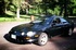 1995 GT Coupe, Rose Photo