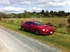 94 wrc gt4 & 94 silver 205 Photo