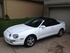 White ghost Photo