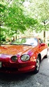 Red 6GC (=^.^=) Photo
