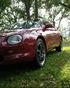 1995 ST Coupe Photo